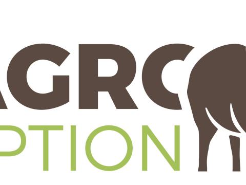 Aflatoxin - a legjobb toxinkötő a témában, csak az Agro-Option Kft.-nél Aflatoxin - a legjobb toxinkötő a témában, csak az Agro-Option Kft.-nél