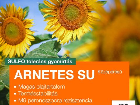 ARNETES SU napraforgó vetőmag,  SULFO toleráns