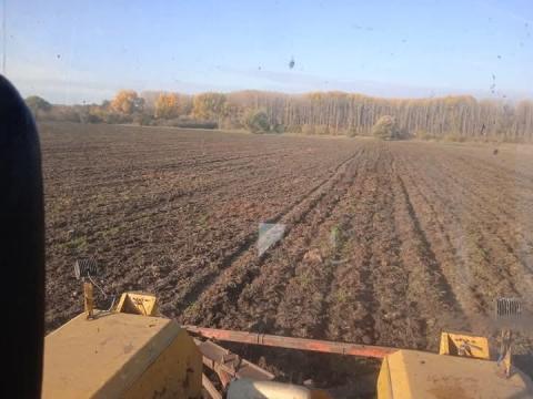 Szántóföld eladó Szentes