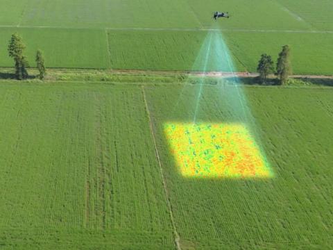 Drónos multispektrális monitoring - NDVI és más indexek,  differenciális/foltkezelési tervek Drónos multispektrális monitoring - NDVI és más indexek,  differenciális/foltkezelési tervek