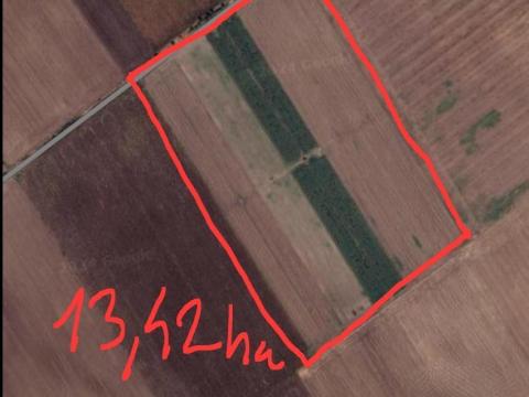 13,42 ha öntözhető termőföld eladó 13,42 ha öntözhető termőföld eladó