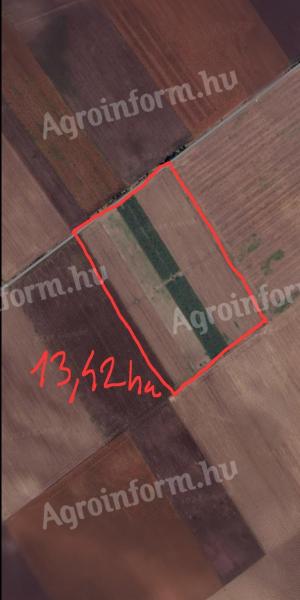 13,42 ha öntözhető termőföld eladó