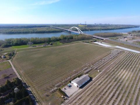 Termőföldet vennék, bérelnék Solt vonzáskörzetében Termőföldet vennék, bérelnék Solt vonzáskörzetében