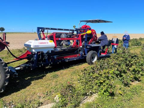 JAGODA - JAREK 5R - vontatott félsoros gyümölcsbetakarító - pályázatban is elszámolható JAGODA - JAREK 5R - vontatott félsoros gyümölcsbetakarító - pályázatban is elszámolható