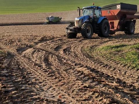 Tg 285 New Holland 311le nagyobbra váltás miatt eladó! Videót tudok küldeni