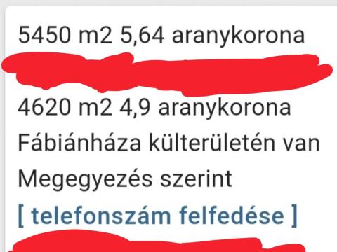 Szántóföld eladó Fábiánházán, Szabolcs megyében