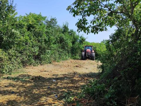 Erdészeti bozótírtás, zúzás, tisztítás Erdészeti bozótírtás, zúzás, tisztítás