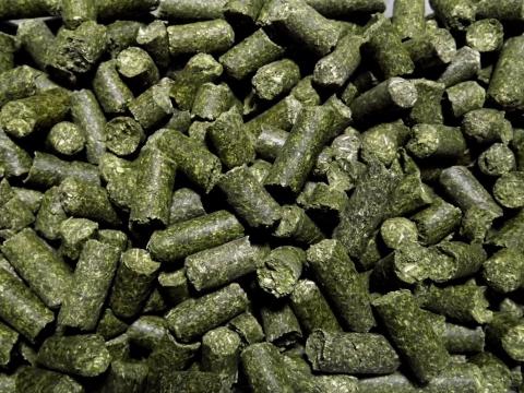 Lucerna pellet 20 kg Lucerna pellet 20 kg