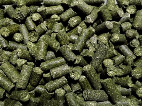 Lucerna pellet 20 kg kiszerelésben – Debrecen Lucerna pellet 20 kg kiszerelésben – Debrecen