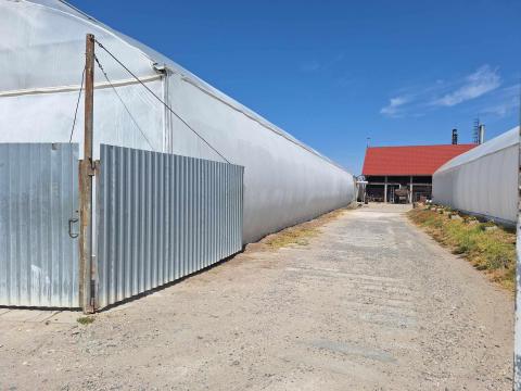 Kertészet eladó Kertészet eladó