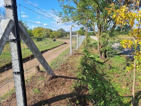 P-Tech vadháló és kerítések – prémium minőség, országos házhoz szállítás P-Tech vadháló és kerítések – prémium minőség, országos házhoz szállítás