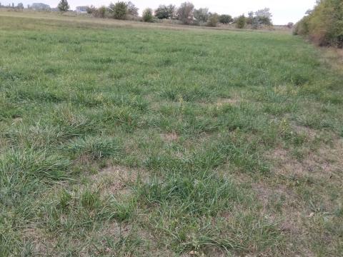 Mikepércs,  30 000 nm szántó,  főúthoz közel eladó