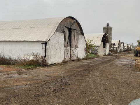 5 ha-os szarvasmarha-telep eladó