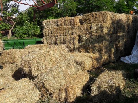 Kiskockabálás szalma,  tömör kiváló minőségű eladó,  szállítva is Kiskockabálás szalma,  tömör kiváló minőségű eladó,  szállítva is
