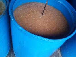 Termelői birsalma cefre