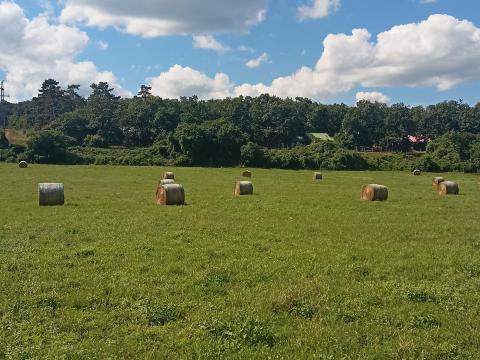 Balatonszepezden zártkerti telek eladó Balatonszepezden zártkerti telek eladó