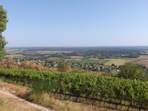 Panorámás erdőterület,  hétvégi házzal a Somlón Panorámás erdőterület,  hétvégi házzal a Somlón