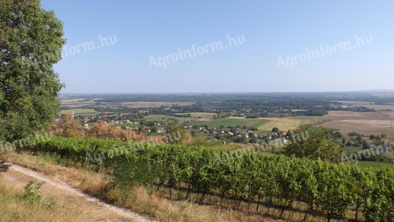 Panorámás erdőterület,  hétvégi házzal a Somlón