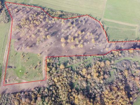 7 hektár (70221m²) legelő/kaszáló Tapolcától 20km-re Taliándörögdön eladó 7 hektár (70221m²) legelő/kaszáló Tapolcától 20km-re Taliándörögdön eladó