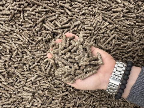 Cukorrépa-pellet Cukorrépa-pellet