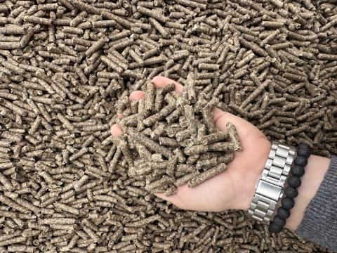 Cukorrépa-pellet 25 kg-os malmi zsákban Cukorrépa-pellet 25 kg-os malmi zsákban