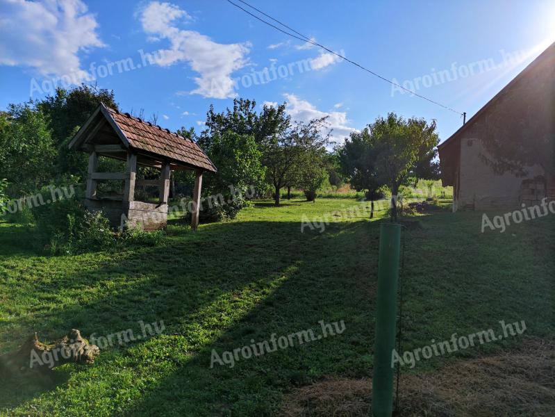 Birtok termőfölddel,  présházzal,  udvarral - Somogy Vármegye / Somogyvár