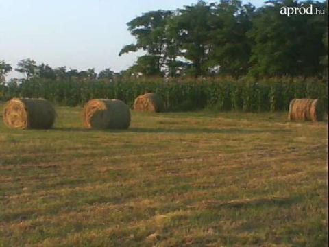 Termőföld, szántó és legelő bérbeadó 9 hektár Termőföld, szántó és legelő bérbeadó 9 hektár
