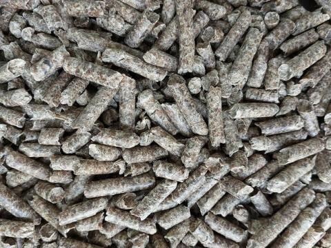 Cukorrépa Pellet Cukorrépa Pellet