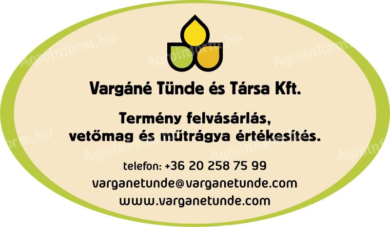 SAATBAU LINZ kukorica és napraforgó vetőmagok 2026. - Vargáné Tünde és Társa Kft