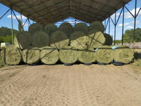 Réti széna lucerna, fedett helyen tárolt, körbálás prémium minőségű takarmány eladó