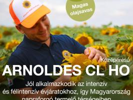 ARNOLDES CL HO - középérésű,  magas olajsavas Clearfield napraforgó vetőmag