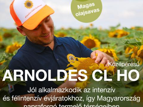 ARNOLDES CL HO - középérésű,  magas olajsavas Clearfield napraforgó vetőmag