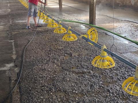 Eladó állattartó telep