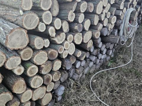Akácoszlop,  támoszlop,  kerítésoszlop Akácoszlop,  támoszlop,  kerítésoszlop