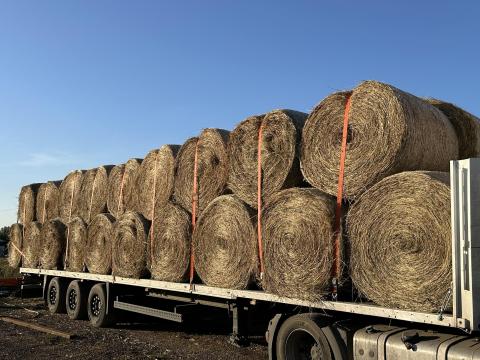 Keresek széna bálákat vagy lucerna szénabálát Keresek széna bálákat vagy lucerna szénabálát