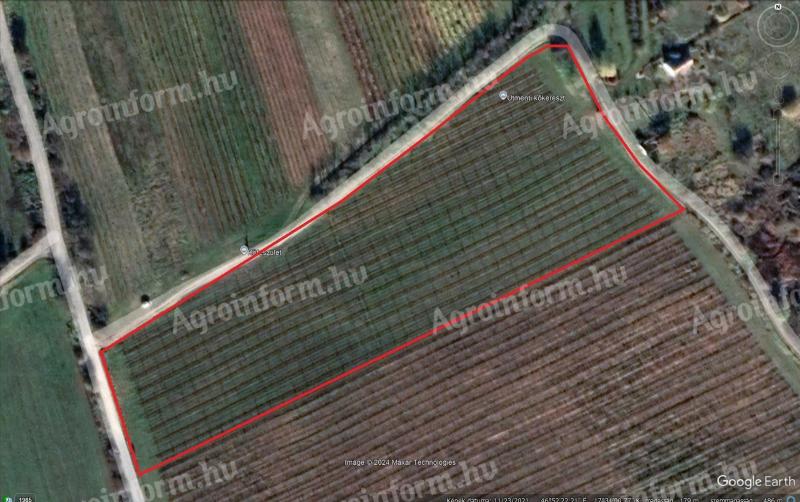 Köves-hegy, Tóth-kereszt – Badacsonyi bio minősítésű szőlőültetvény eladó