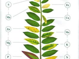 Réz lombtrágya költséghatékonyan,  rézhiányra,  rézhiány megelőzésére