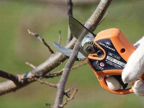 Akkumulátoros metszőolló (Nishigaki,  japán acél,  Futumaru Handy 25) Akkumulátoros metszőolló (Nishigaki,  japán acél,  Futumaru Handy 25)