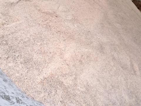 Eladó köles vagy cserélhető Eladó köles vagy cserélhető