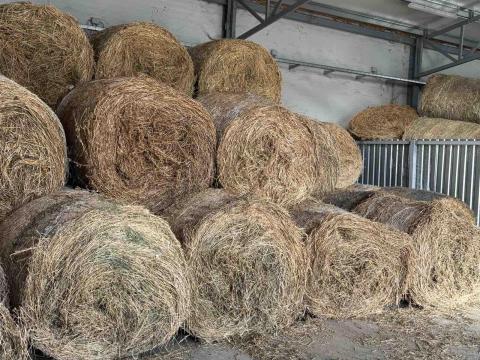 Körbálás lucerna bála tárolóból Körbálás lucerna bála tárolóból