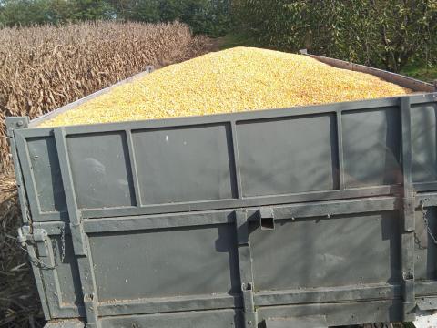 PM-4 billenős pótkocsi eladó PM-4 billenős pótkocsi eladó
