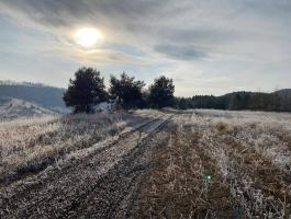 500 ha ősfás erdő