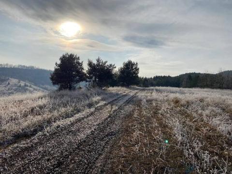 505 ha ősfás erdő eladó Borsod megyében, a szlovák határ mellett 505 ha ősfás erdő eladó Borsod megyében, a szlovák határ mellett