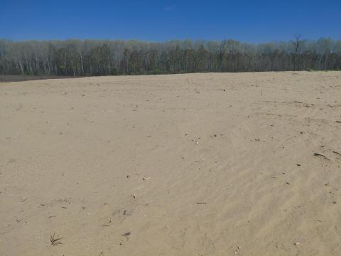Kitermelhető homok eladó Győr környékén, nagy mennyiségben Kitermelhető homok eladó Győr környékén, nagy mennyiségben