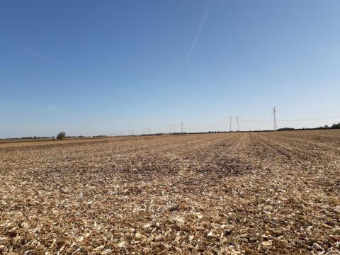 Termőföld Termőföld