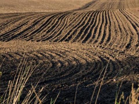 Eladó 4,6978 ha szántóföld Eladó 4,6978 ha szántóföld