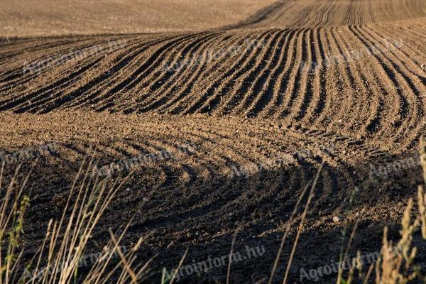 Eladó 4,7 ha szántóföld