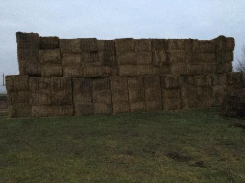 Nagy kockabálás szalma eladó Nagy kockabálás szalma eladó