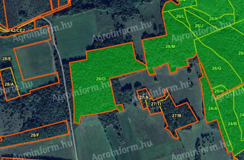 4,1 ha erdő eladó Taliándörögdön