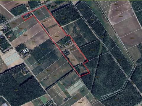 Eladó ingatlan / szántóföld Eladó ingatlan / szántóföld